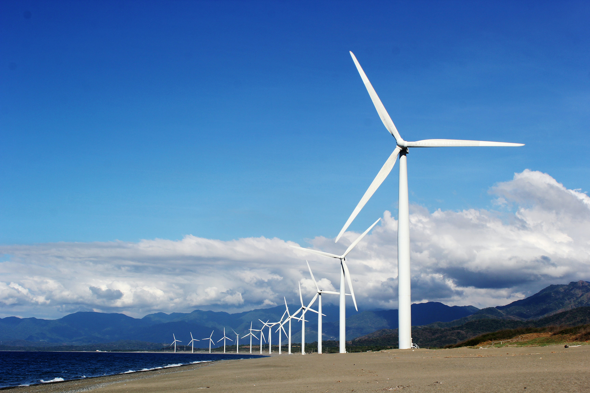 Wind & Renewable energy
